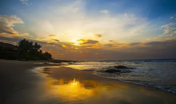 Año Nuevo en Playas del Norte 2027